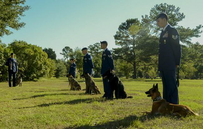 The 628th Security Forces Squadron Airmen hold a burial ceremony for military working dog Athos Oct. 24, 2013, at Joint Base Charleston – Air Base, S.C. Athos was born Aug. 1998 and passed away Oct. 2012. Athos served as a explosive detector dog for 11 years. He was returned to JB Charleston to be buried with his fellow military working dogs. (U.S. Air Force photo/ Airman 1st Class Chacarra Neal)