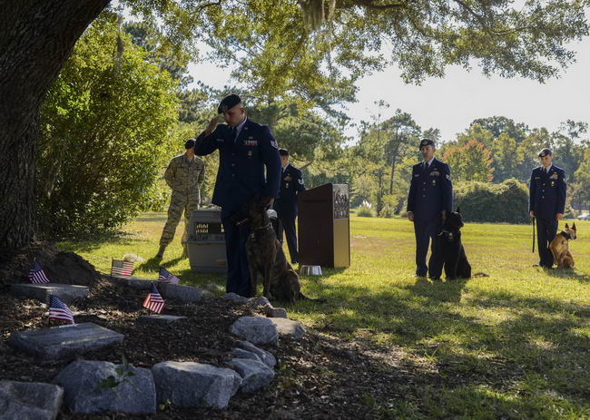 The 628th Security Forces Squadron Airmen hold a burial ceremony for military working dog Athos Oct. 24, 2013, at Joint Base Charleston – Air Base, S.C. Athos was born Aug. 1998 and passed away Oct. 2012. Athos served as a explosive detector dog for 11 years. He was returned to JB Charleston to be buried with his fellow military working dogs. (U.S. Air Force photo/ Airman 1st Class Chacarra Neal)